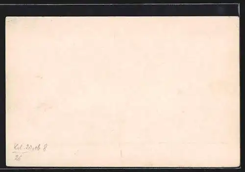 Lithographie San Marino, Inaugurazione 30 Settembre, Portraits, Blumen