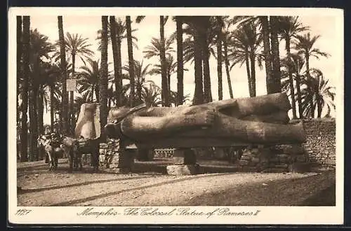 AK Memphis, Statue Ramses II.