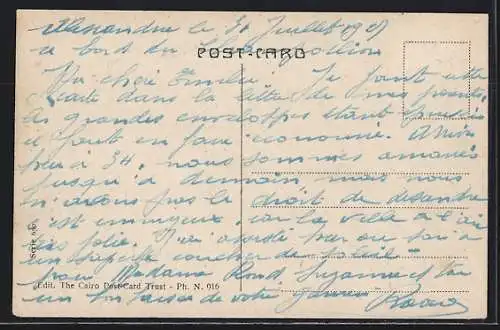 AK Alexandria, Mohamed Aly Place