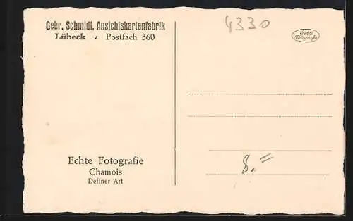 AK Mülheim a. d. Ruhr, Blick auf die Friedrich Wilhelm-Hütte