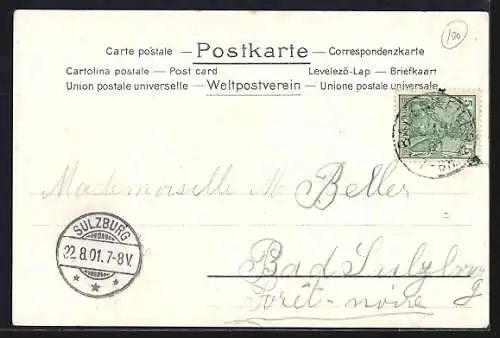 Lithographie Badenweiler, Hotel Hochblauen, Alpenpanorama