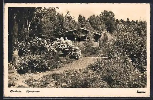 AK Pforzheim, Gasthaus zum Alpengarten