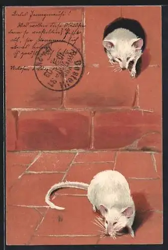 AK Weisse Ratten und Rattenloch in einer Steinwand