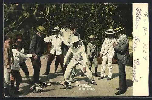 AK Cock Fight, Hahnenkampf