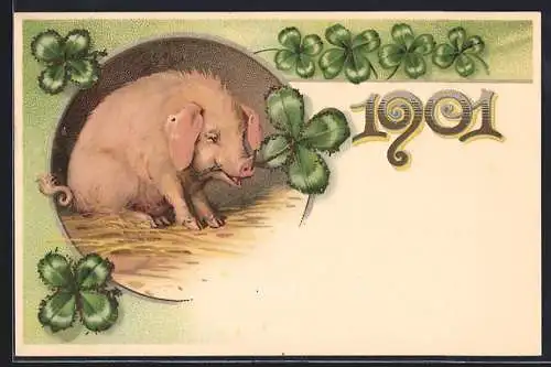 AK Neujahrsgruss 1901 mit Schwein und Glücksklee