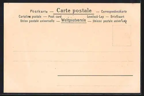 AK Neujahrsgruss 1901 mit Schwein und Glücksklee