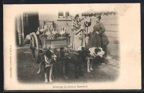 AK Attelage de chiens flamand, Hundegespann