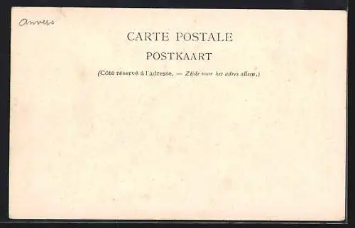 AK Attelage de chiens flamand, Hundegespann