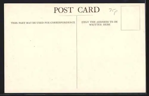 AK Passagierschiff Llandovery Castle vor der Küste, Union-Castle Liner