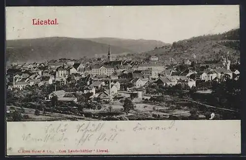 AK Liestal, Teilansicht mit Bäumen