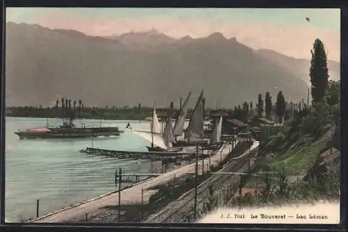 AK Le Bouveret /La Léman, Panorama