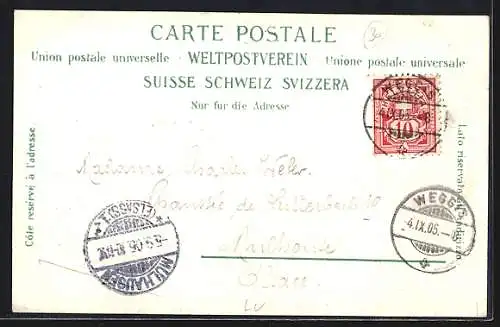 AK Weggis, Ortsansicht gegen den See