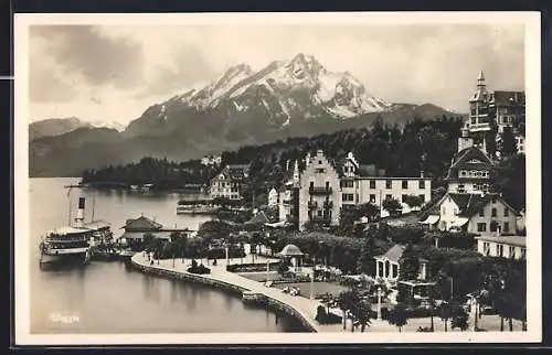 AK Weggis, Ortsansicht mit Bergpanorama, Dampfer