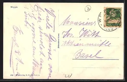 AK Weggis, Ortsansicht mit Bergpanorama, Dampfer