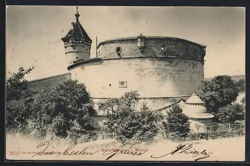AK Schaffhausen, Partie am Munot