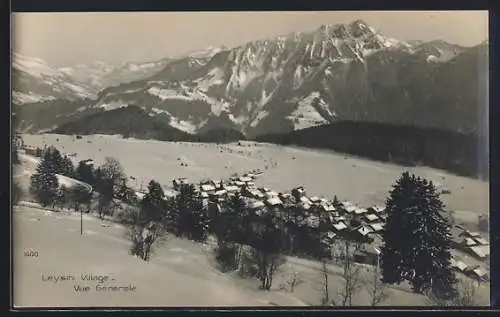 AK Leysin, Vue générale