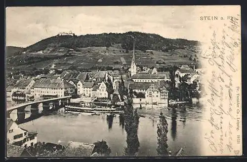 AK Stein a. Rh., Ortsansicht mit Salondampfer im Hafen