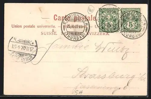 AK Stein a. Rh., Ortsansicht mit Salondampfer im Hafen