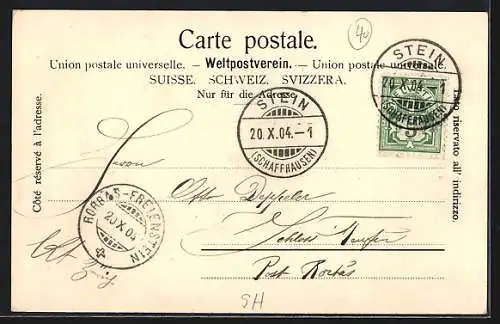 AK Stein am Rhein, Ortsansicht mit Hotel Rheinfels