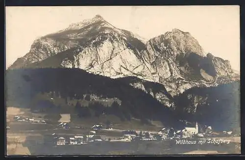AK Wildhaus, Totalansicht mit Schafberg