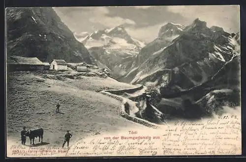 AK Linthal, Baumgartenalp, Blick auf den Tödi