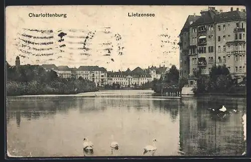 AK Berlin-Charlottenburg, Lietzensee mit Schwänen und Gebäuden am Ufer