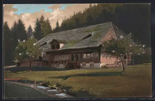 AK Todtmoos /Hinter-Todtmoos, Schwarzwaldhaus umgeben von Bäumen