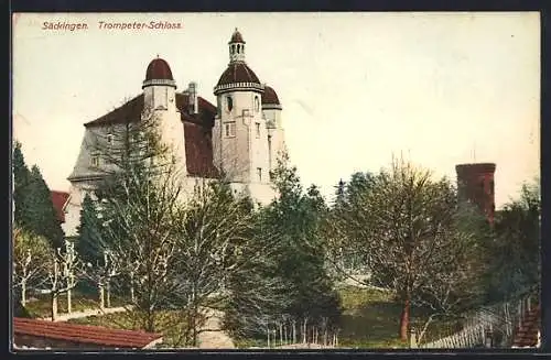 AK Bad Säckingen, Partie am Trompeter-Schloss