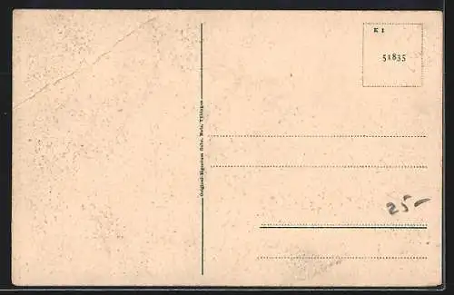 AK Bad Säckingen, Partie am Scheffelhaus