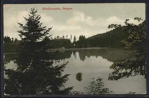 AK Säckingen, Blick auf den Bergsee umrahmt von Bäumen