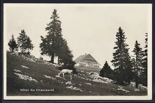 AK Chasseral, Hôtel mit Kuh