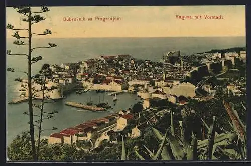 AK Ragusa, Ansicht mit Vorstadt