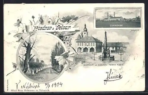 AK Velvary, Cukrovar, Stalety Topol, Námesti se Sochou Panny Marie