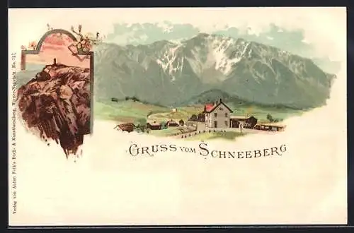 Lithographie Puchberg / Schneeberg, Panorama Berghütte und Berglandschaft
