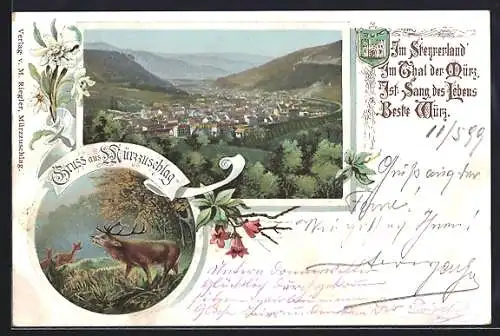 Lithographie Mürzzuschlag, Totalansicht