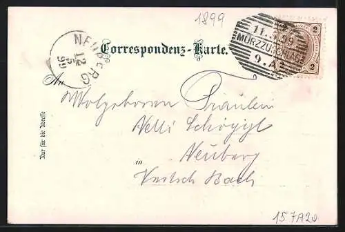 Lithographie Mürzzuschlag, Totalansicht