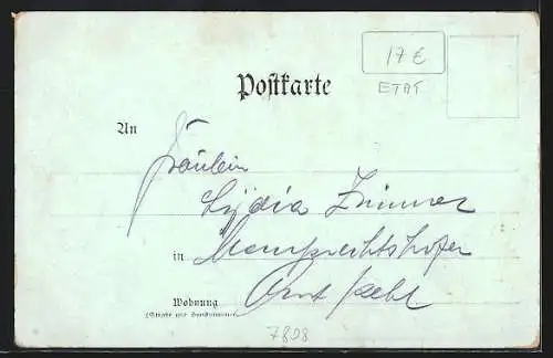 Lithographie Waldkirch / Elztal, Totalansicht, Teilansicht mit Burg