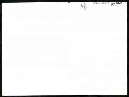 Fotografie Auto Alfa Romeo Giulia Super, Innenraum, Werkfoto