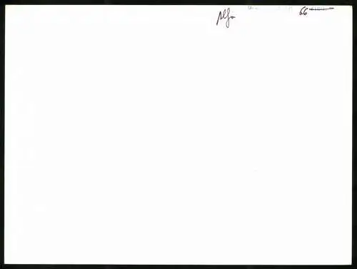 Fotografie Auto Alfa Romeo Giulia Super, Innenraum, Werkfoto