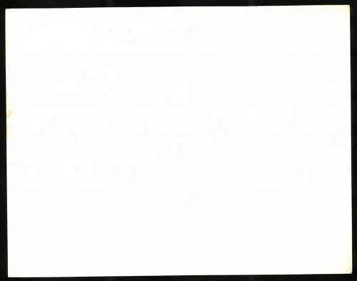 Fotografie Auto Alfa Romeo Giulia Super, Innenraum, Werkfoto