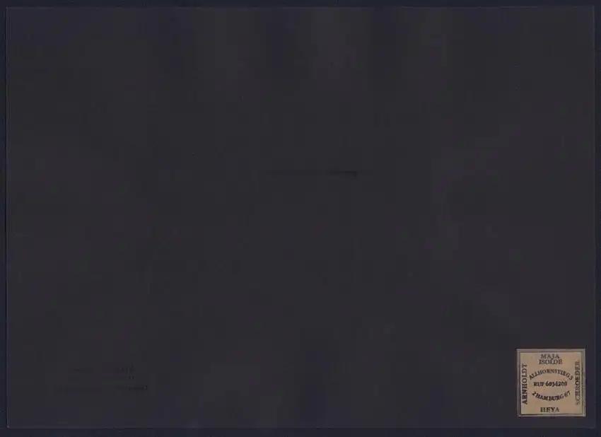 Fotografie Joseph Schorer, Hamburg, Ansicht Norderstedt, Der Ausbrecher, Elefant vom Zirkus Sarasani ausgebüxt 1936 1