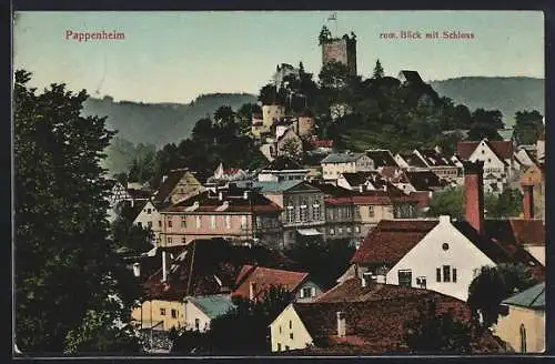 AK Pappenheim / Bayern, Ortschaft mit Schloss