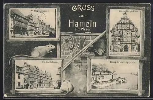 AK Hameln a. d. Weser, Rattenfängerhaus, Dampferlandungsplatz und Hochzeitshaus, Ratten und Spinnennetz