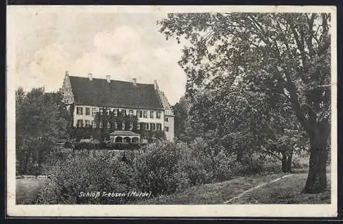 AK Trebsen / Mulde, Blick auf das Schloss umrahmt von Bäumen