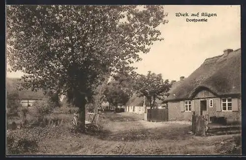 AK Wiek auf Rügen, Dorfpartie