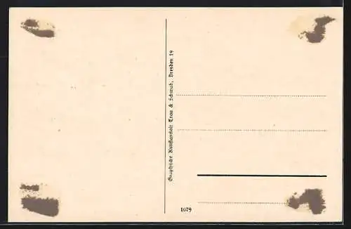 AK Wiek auf Rügen, Dorfpartie
