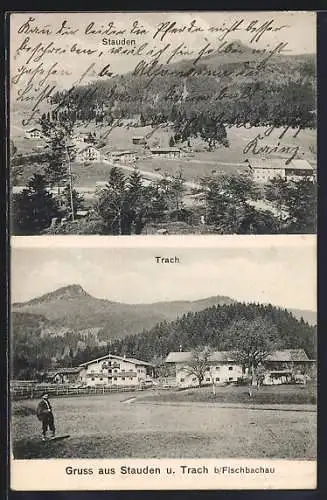 AK Stauden / Fischbachau, Ortsansicht, Ortsteil Trach