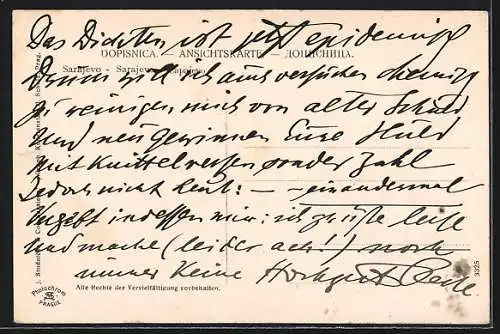 AK Sarajewo, Teilansicht mit zwei Moscheen