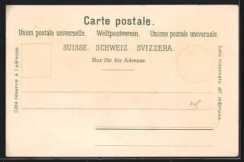 Lithographie Brienz, Teilansicht mit Blick auf die Berge, Giessbachfall