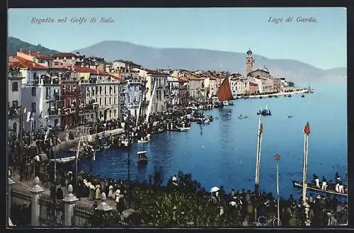 AK Salo, Regatta nel Golfo